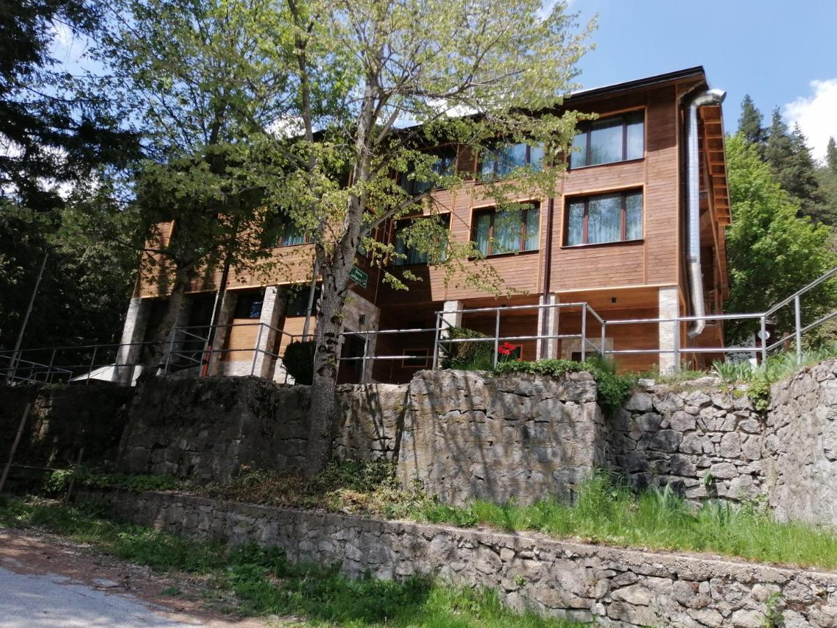 Вила Добро Поле Blagoevgrad Extérieur photo